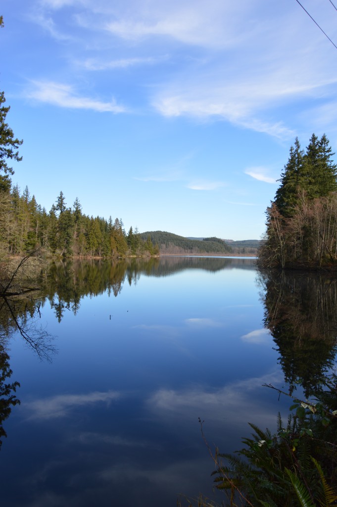 Lake Kapowsin could be state’s first freshwater reserve WALPA