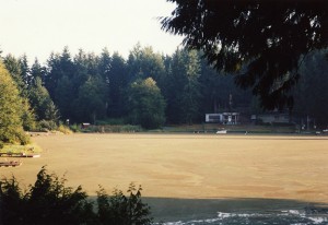 Duckweed Covering entire Surface of Lake Ketchum